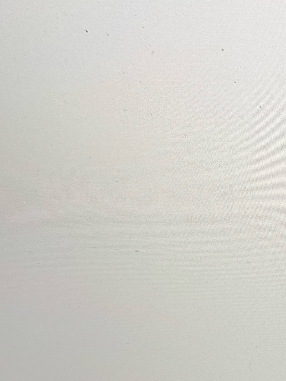 Teenflo Classic Women's Gray Dress Pants Wool Silk Blend Straight Leg Size 2